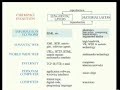 P. L�vy - Intelligenza collettiva - parte 4