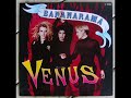 Bananarama Venus Special Club Mix