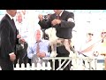 Richmond Best in Show 2010