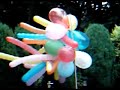 Balloons blowing about outdoors Balloons blowing about outdoors