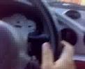 Sacanagem no Carro Sacanagem no Carro