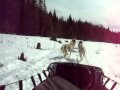 2010-05-12 | TREMBLANT 181.MOV ~> dogsledding @ Les tangs Tremblant sur le Site de Kanatha-Aki. carlo and chapstick driving and me passenging. UH-SOME! ... TREMBLANT 181 ... ()