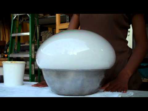 Troi's 5th Grade Science Fair Project