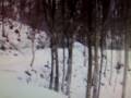 videos de Quad Cansiglio 2