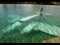 Aviation pictures