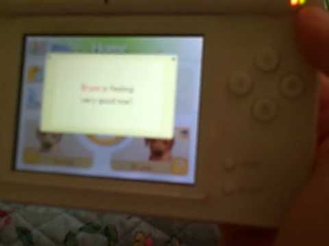 how to get more owner points in nintendogs