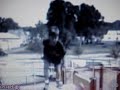 piños ostias ostiones caidas golpes fracturas piños ostias ostiones caidas golpes fracturas