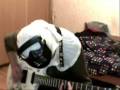 videos de Riffs of dr.Pepper and holocos coca-fantacola By Psyco P-Man (vol.1)