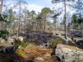 videos de Visit to Rovaniemi, Lapland