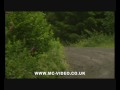 Quinton Stages 2008 DVD Preview