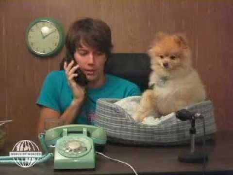 Talk Show - Ring My Bell