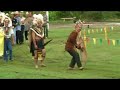 Traditional Dance