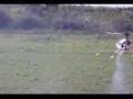 Raptor 60 v.2 hovering
