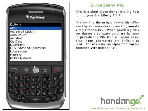 how to locate a blackberry using pin