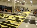 Painting Signs- Irving Tiger Fever