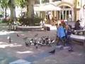 Out and About in Nerja, Spain