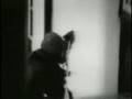 Iranian Embassy Siege in London - Intervention by S.A.S.