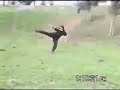 Karate pobla