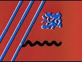 Norman McLaren - Boogie Doodle