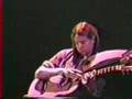 Michael Hedges - Because It's There