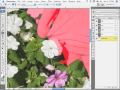 Get Going with Photoshop 101 Video Tutorial - Masks & Channels  -  Chapter 5 Free