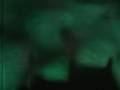 chris cottrell : auroral anomaly