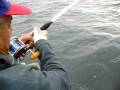 videos de pesca de salmon por jose en  mdq