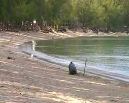 Rent self catering flat Mauritius location studio ilemaurice screen 1