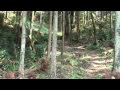 埼玉県富士巡り 20091031 04 白銀平