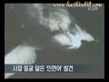 nsan suratl balk wwwhazihisebilinettc .html