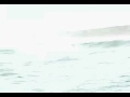SAYiWONT - Concept Video SAYiWONT - Concept Video
