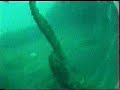 B-24 Bomber Wreck Scuba Dive at Hinchinbrook Island