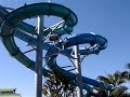 Aquatica Lazy River Dolphin Tank
