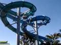 Aquatica Lazy River Dolphin Tank