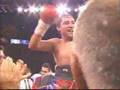DLH vs Mayweather jr