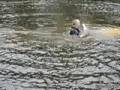 Torture Tuesday - Water Hazard