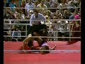 Wendi Richter vs. Spider-Lady Wendi Richter vs. Spider-Lady