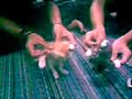 geli mat kucing