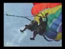 lake-george.html