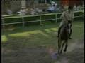 videos de Rodrygo c 125 29 luglio 2007 lavinaio