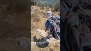 قرية بيت ثول برفقة الباحث روعي ماروم والباحث صهيب علقم (5) قرية بيت ثول برفقة الباحث روعي ماروم والباحث صهيب علقم (5)