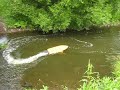 Rc Jetboat Palm Beach 2.