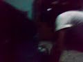 q rico beso