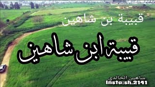 قبيبة شاهين قبيبة شاهين