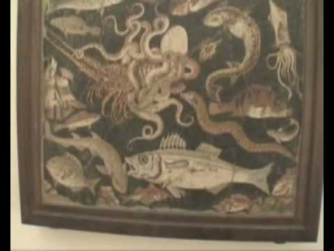 Video Giovanni's Homesta