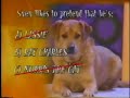 CBS Worlds Funniest Pets CBS Worlds Funniest Pets