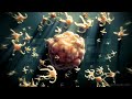 Microscopic Spawn - BassVisuals.com