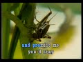 KARAOKE - Martin Nievera - Say That You Love Me KARAOKE - Martin Nievera - Say That You Love Me