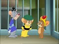 Tom & Jerry 