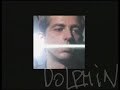 dolphin   radiovolna